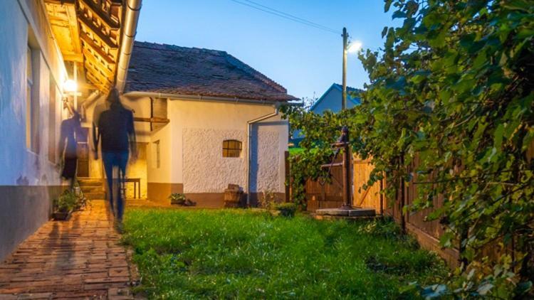 Cejkovicky Domek Cejkovice  Εξωτερικό φωτογραφία